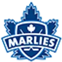 Toronto Marlies