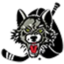 Chicago Wolves